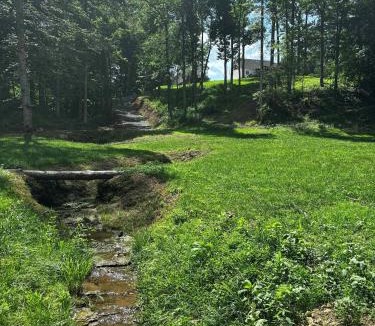 Joelton House | Private Pool Estate Sleeps 20 Guest House Creek