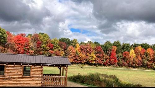 Kerr House | Cozy Studio Cabin Surrounded by Nature for a Peaceful Getaway near Gallipolis, Ohio