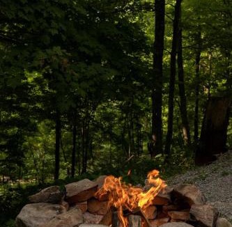 Allegheny Mountains House | Secluded West Virginia Cabin Rental on the Edge of Monongahela National Forest