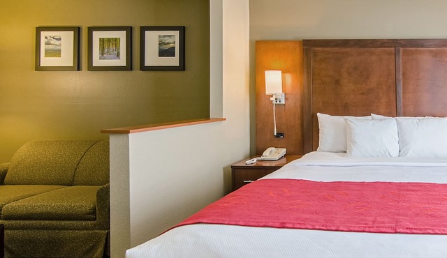 Comfort Suites Wytheville near Conference Center