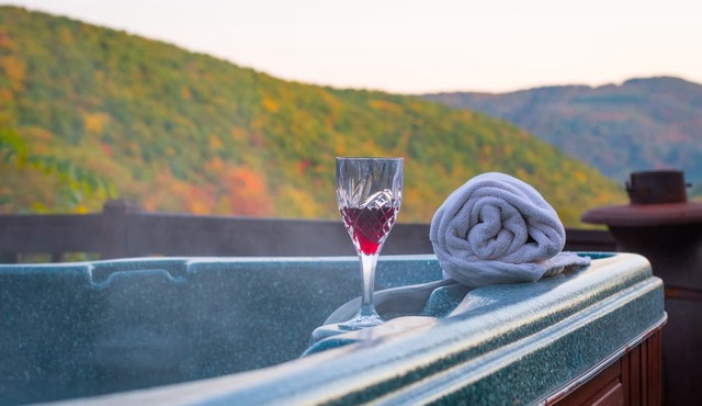 North Fork Mountain Inn