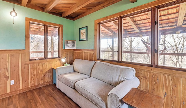 Peaceful Mountain Cabin w/Views in Williamsburg in Williamsburg
