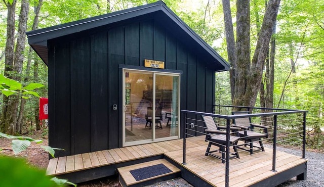 Family Bunk Cabin - Can't Bear To Leave