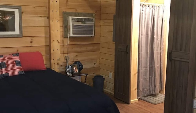 Rental Cabin - Back of the Dragon Route 16 in TAZEWELL
