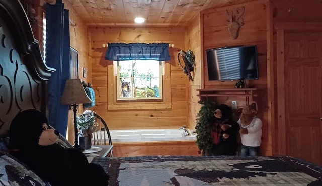 A BEARY TALE - INCREDIBLY ROMANTIC AND COZY - FREE WIFI - Perfect Location!
