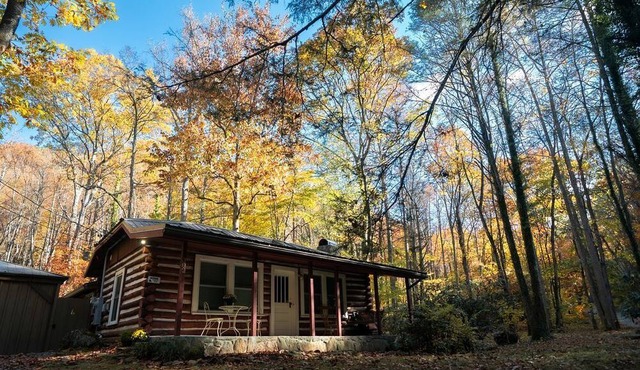 Cozy Rustic Cabin Nestled in the Scenic Reems Creek Valley for a Peaceful Mountain Escape Surrounded by Nature near the Pisgah National Forest in NC
