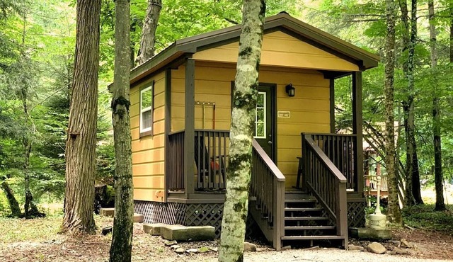 Embrace Nature in this Cabin in Monterville, West Virginia