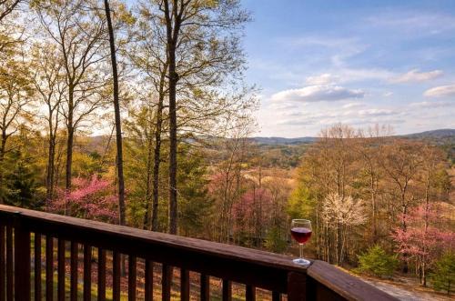 Incredible Mountain Cabin for a Memorable Family Getaway in Nature near Blairsville, Georgia