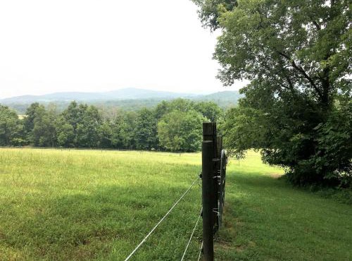 Furry Friends and Fields: Pet-Friendly Cabin with Unique Views in Sparta, TN in Sparta