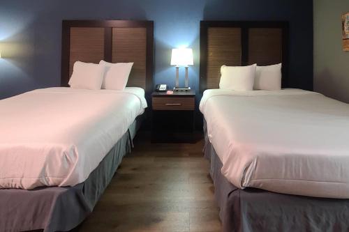 Econo Lodge Forest City